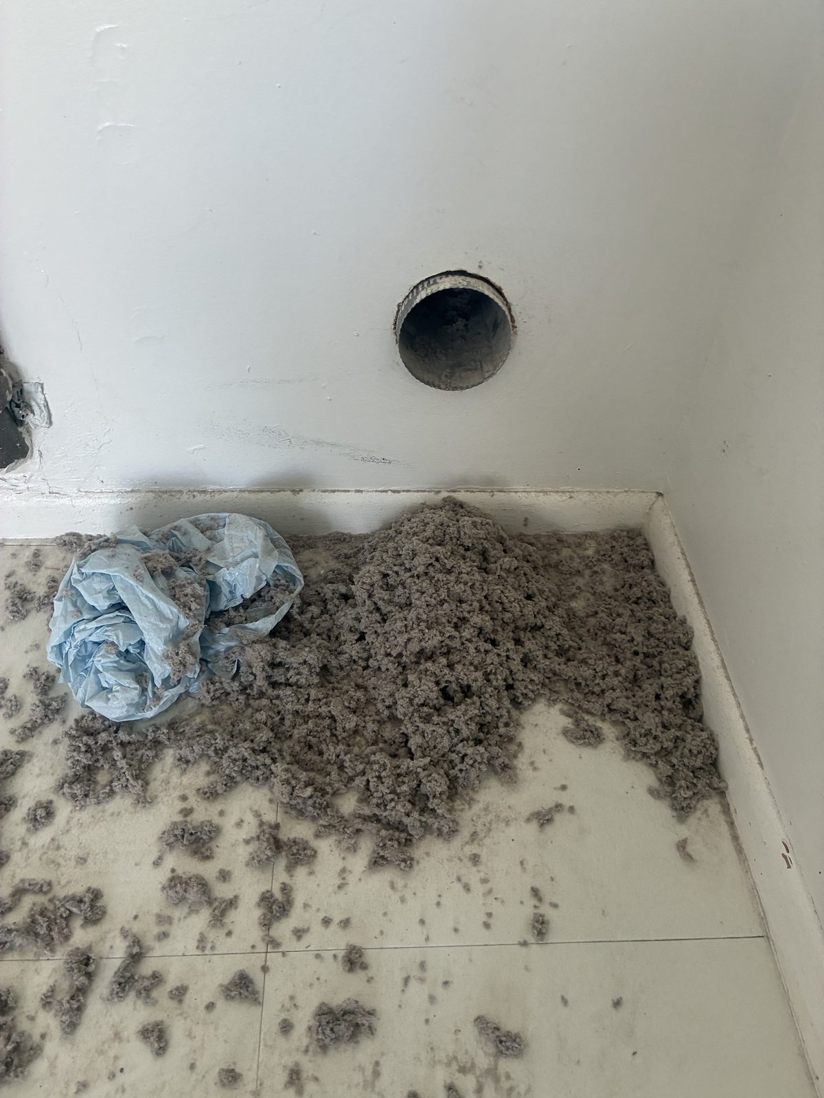 Lint removed from a dryer vent