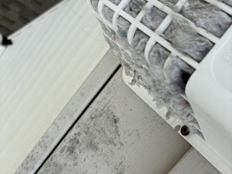 Exterior louvered dryer-vent cover clogged with lint — New Jersey home